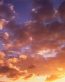 Counds and Sky Vinyl Wall Graphics 010