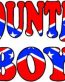 COUNTRY BOY REBEL FLAG FILL STICKER 2
