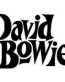 David Bowie Decal