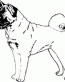 Dog Breed Decal 02a