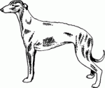 Dog Breed Decal 54a