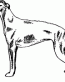 Dog Breed Decal 54a