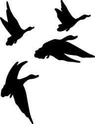 Duck Hunting Decal Sticker 09