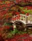 Fall Colors Adhesive Wall Graphics 36