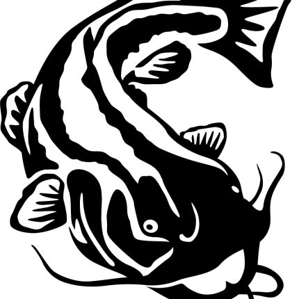 Flathead Catfish Wall or Window Decal