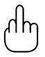 Flipper Decal