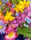 Flowers and Plants Vinyl Wall Art 069
