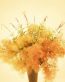 Flowers and Plants Vinyl Wall Art 163