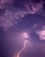 Forces of Nature Adhesive Wall Art 19