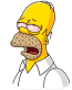 homer_jay_simpson_22