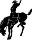 Horses Horse Animal Vinyl Car or WALL Decal Stickers 09