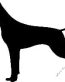 Hunting Vinyl Decal43
