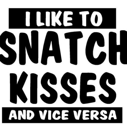 I Like To Snatch Kisses Vinyl Car Decal