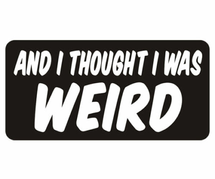 I Thought I was Weird Decal Funny Biker Sticker