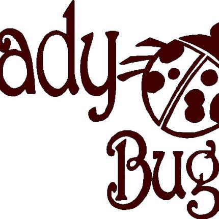 Lady Bug Vinyl Car Decal