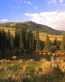 Landscape Vinyl Wall Graphic Decals 26