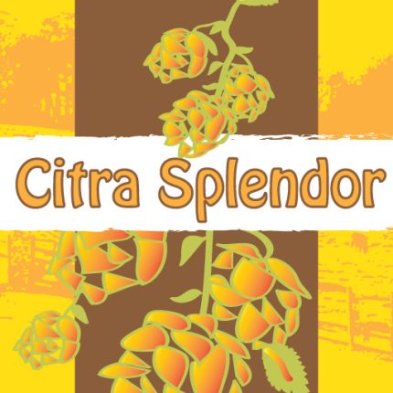 MANOR HILL Citra-Splendor-LOGO BOOZE STICKER