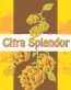 MANOR HILL Citra-Splendor-LOGO BOOZE STICKER