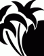 Palm Tree Decal 1