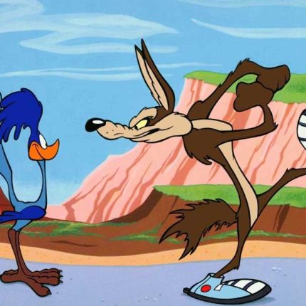 Road Runner and Wile cartoon sticker 12