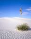 Sand and Deserts Vinyl Wall Graphics 01