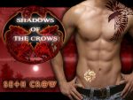 seth crow wallpaper sticker