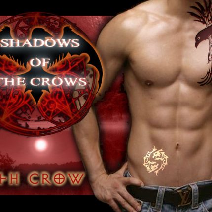 seth crow wallpaper sticker