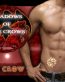 seth crow wallpaper sticker