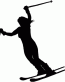 Ski Decal