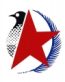 Vintage Air Lines Logo