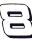 Earnhart Jr car decal
