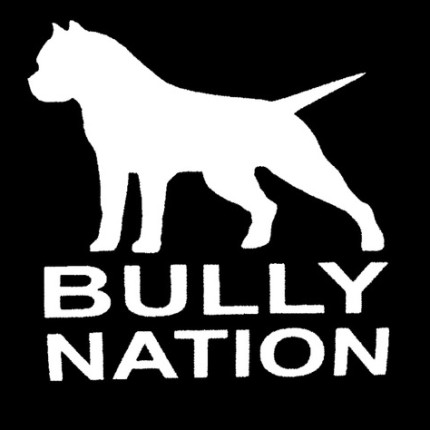 American-Bully-Nation-Pit-Bull-Sticker-For-Car-Window-Truck-Bumper-Auto-SUV-Door-Vinyl-Decal