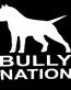American-Bully-Nation-Pit-Bull-Sticker-For-Car-Window-Truck-Bumper-Auto-SUV-Door-Vinyl-Decal