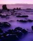 Beaches and Coastal Vinyl Wall Graphics 108