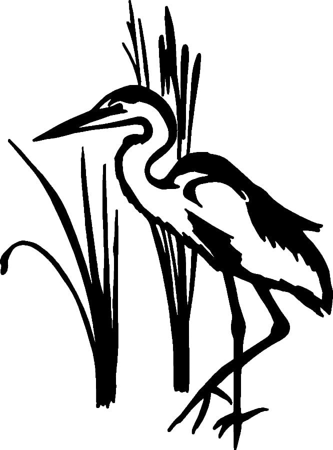 Bird Birds Animal Animals Vinyl Decal Sticker 01