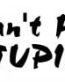 Cant Fix Stupid Decal
