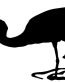Crane Bird Birds Animal Animals Vinyl Decal Sticker