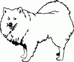 Dog Breed Decal 05