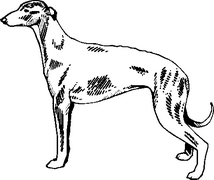 Dog Breed Decal 54