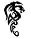 dragon_tribal logo sticker 66