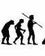 Evolution Sport Stickers BASKETBALL