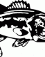 Fish Decals -15