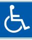 Handicap Logo Color Decal