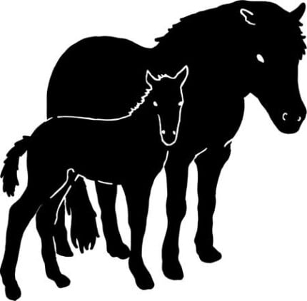 Horse and Mare Decal
