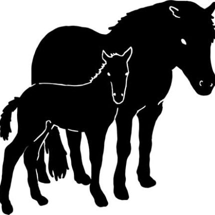 Horse and Mare Decal