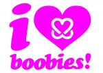 I Love Boobies Die Cut Decal