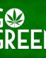 marijuana go green sticker