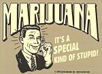 Marijuana Special Kind of Stupid Decal