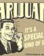 Marijuana Special Kind of Stupid Decal
