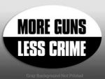 MORE GUSN LESS CRIME OVAL STICKER